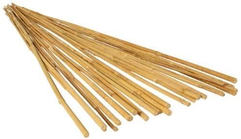 7ft Bamboo Plant Support Sticks