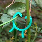 Ogród 3cm Pierścień PE Plant Stake Twist Plastikowe złącze klipsowe