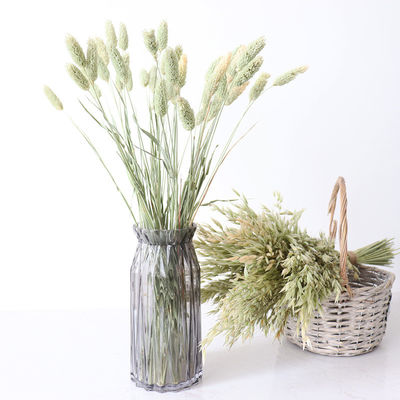Home Decorate 40 cm Zielone Bukiety Suszonych Kwiatów Bristlegrass